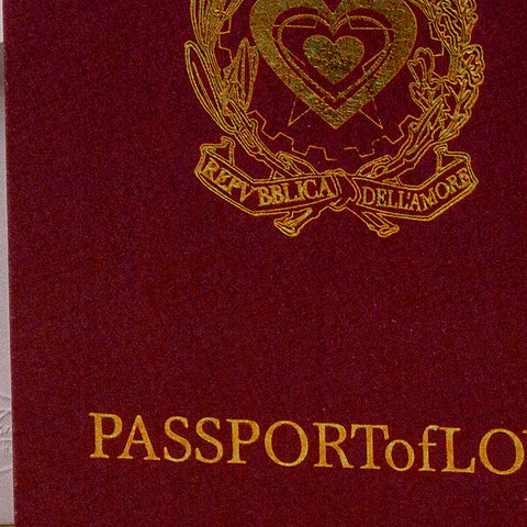 Partecipazioni di nozze modello passaporto con foto sposi f1218