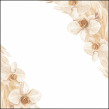 SCATOLINA PORTA RISO ABBINATO AD ART. F1751