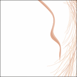 SCATOLINA PORTA RISO ABBINATO AD ART. F1752