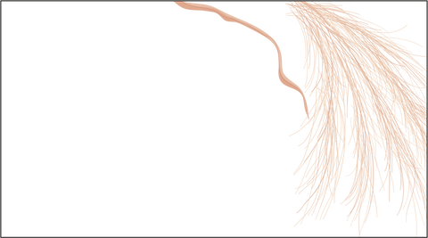 SEGNAPOSTO ABBINATO AD ART. F1757