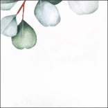 SCATOLINA PORTA RISO ABBINATO AD ART. F1773