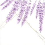 SCATOLINA PORTA RISO ABBINATO AD ART. F1776